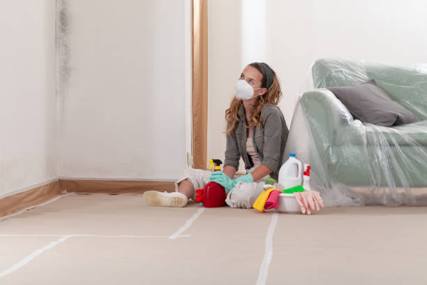 Reliable Mold Cleanup contractor in Haverford, PA by WQB Mold Removal